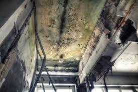 Best Mold Prevention Services  in Lawtey, FL